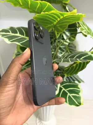 Apple iPhone 15 Pro Max 256 GB Gray