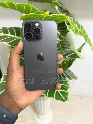 Apple iPhone 15 Pro Max 256 GB Gray