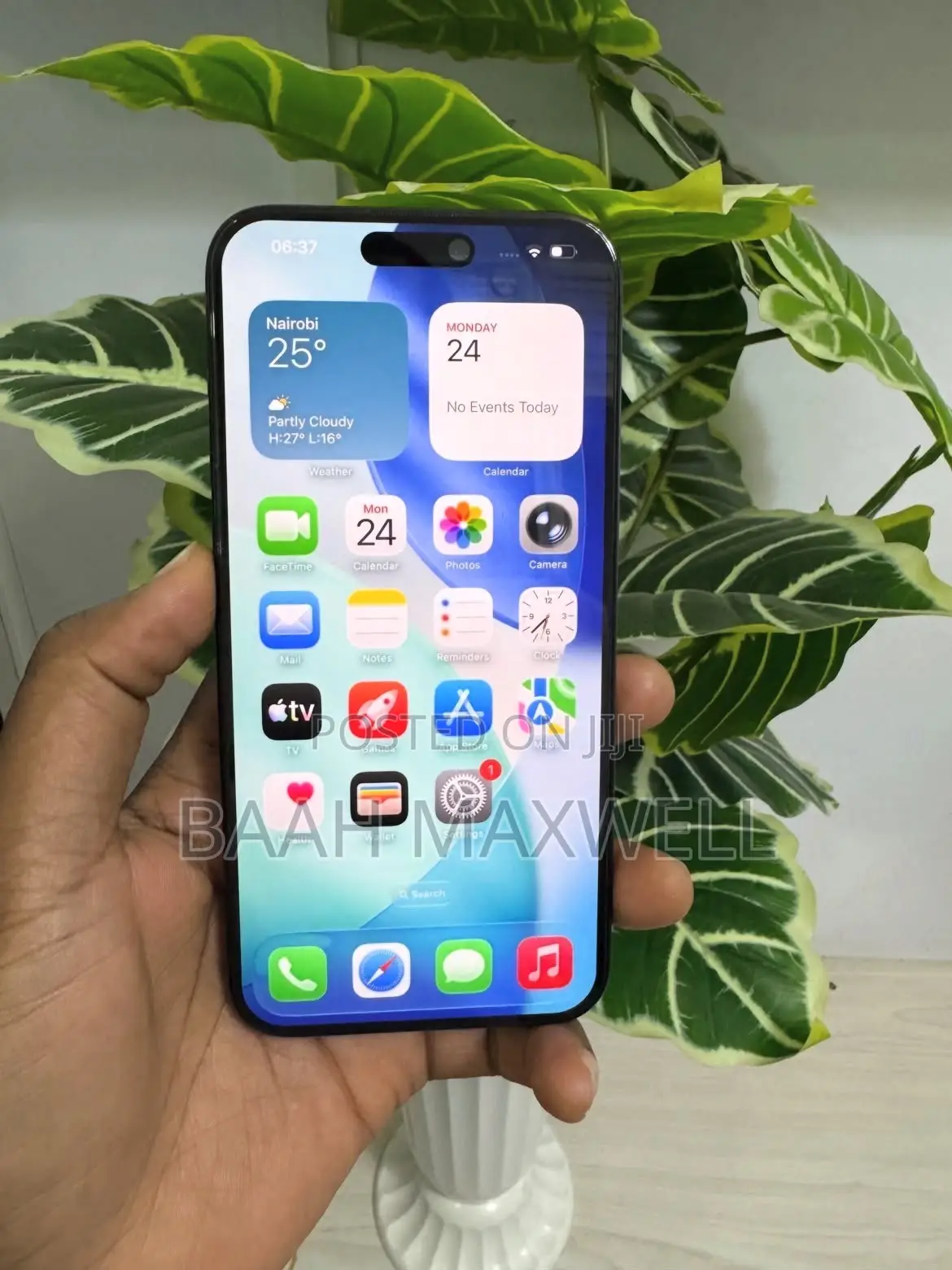 Apple iPhone 15 Pro Max 256 GB Gray