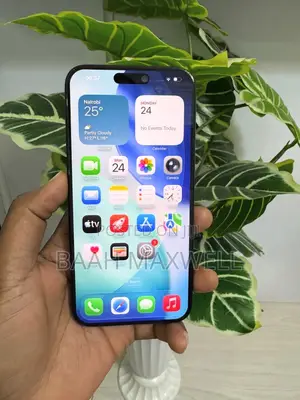 Apple iPhone 15 Pro Max 256 GB Gray