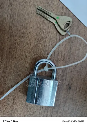 Padlocks and Door Locks