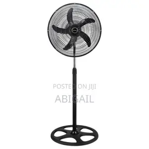 Standing Fan