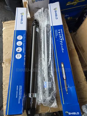 Kia Seltos 2018-2022 Back Shocks Absorbers Shield