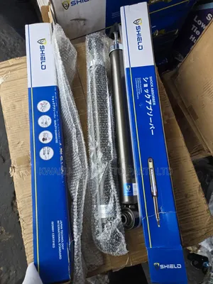 Hyundai Sonata 2016-2019 Back Shocks Absorbers Shield Type