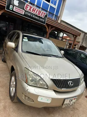 Lexus RX 2009 Gold