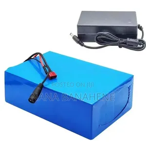 Brand New Imported 48V 20ah Original Lithium Battery With Charger