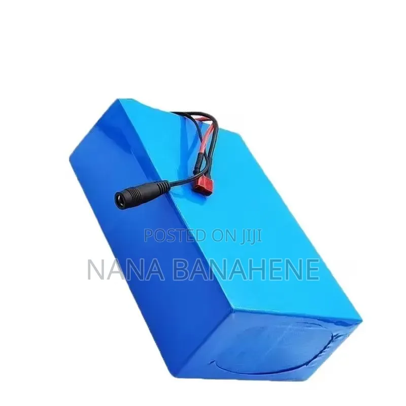 Brand New Imported 48V 20ah Original Lithium Battery With Charger