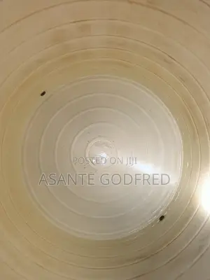 Godfred Polytanks Repairs and Washing Service