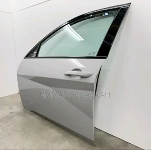 Hyundai Elantra 2022 Complete Door