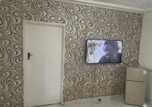 Furnished 1bdrm Apartment in Madina for rent