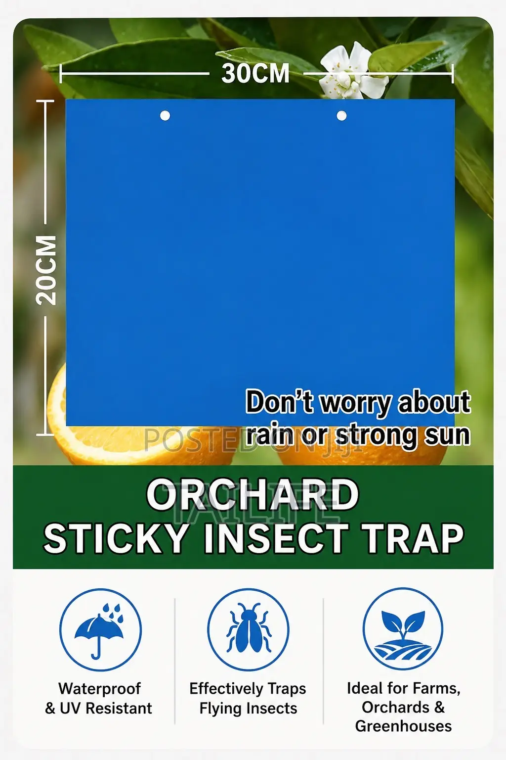 Yellow Blue Sticky Insect Traps – Waterproof