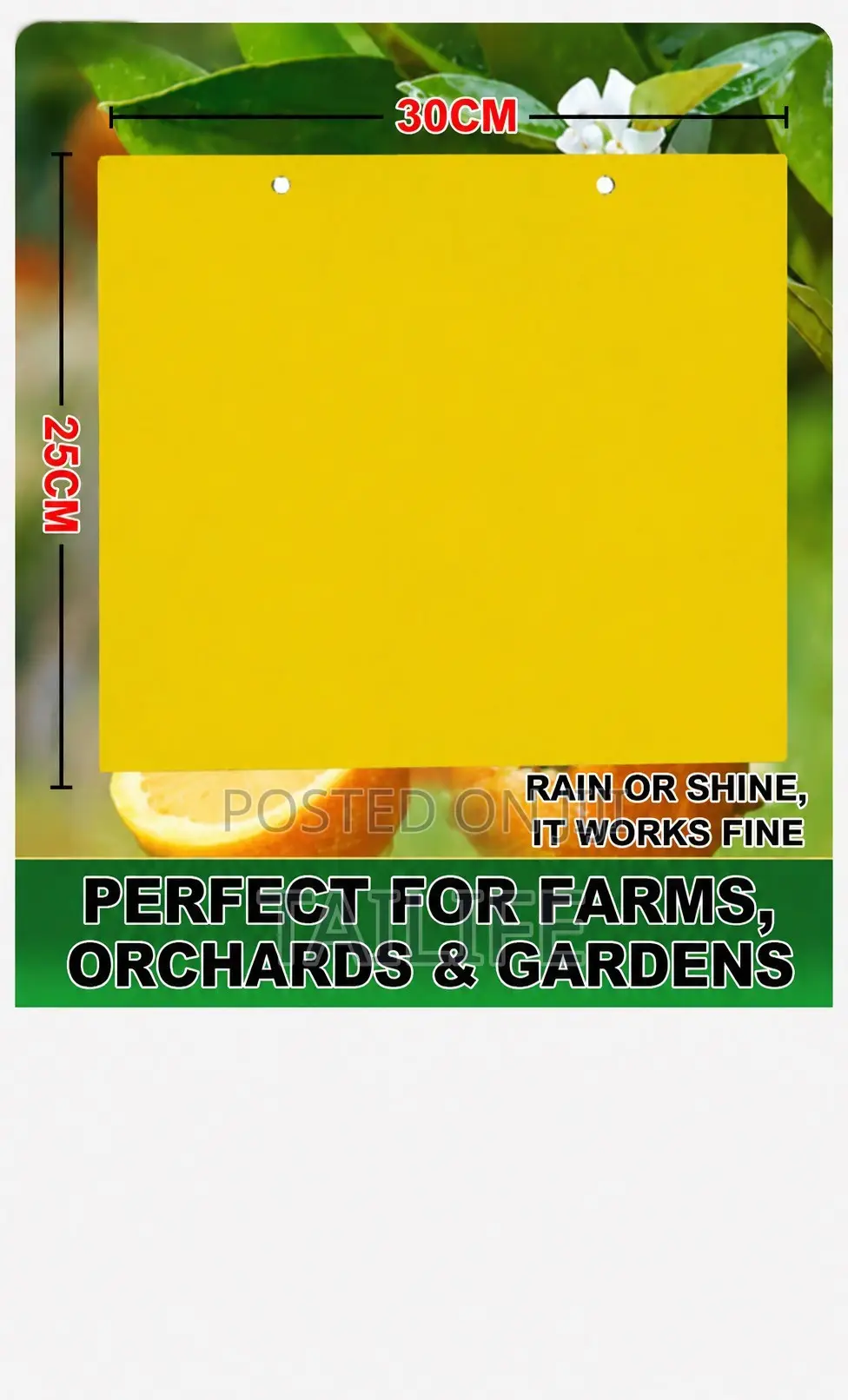 Yellow Blue Sticky Insect Traps – Waterproof