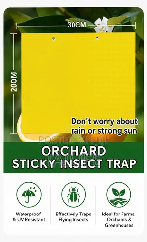 Yellow Blue Sticky Insect Traps – Waterproof