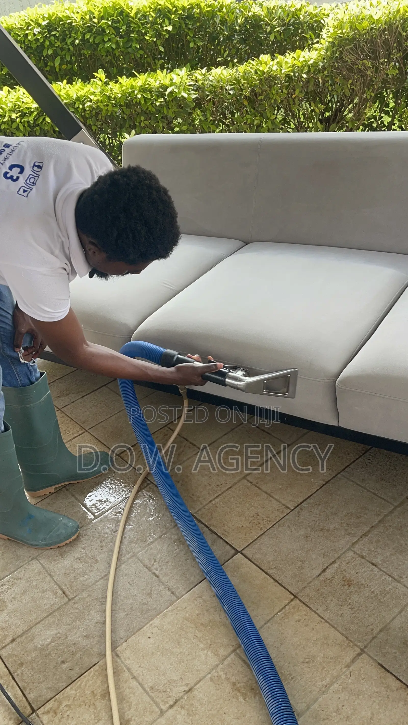 General Cleaning, Fumigation and Painting