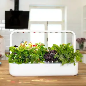 Indoor Gardening Smart Garden 9