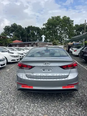 Hyundai Elantra 2017 Silver