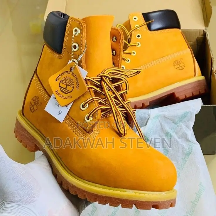 Timberland Shoe