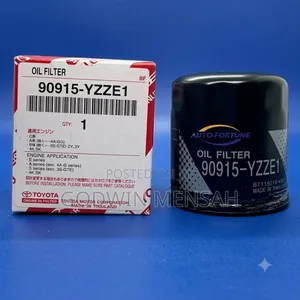 Oil Filter (YZZE1)