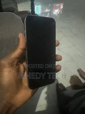 Apple iPhone 16 Pro Max 256 GB Gray