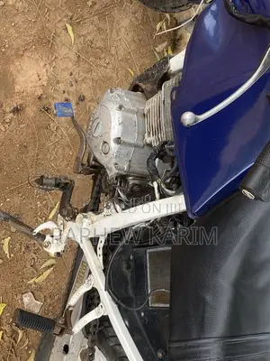Honda 2010 Blue