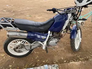 Honda 2010 Blue