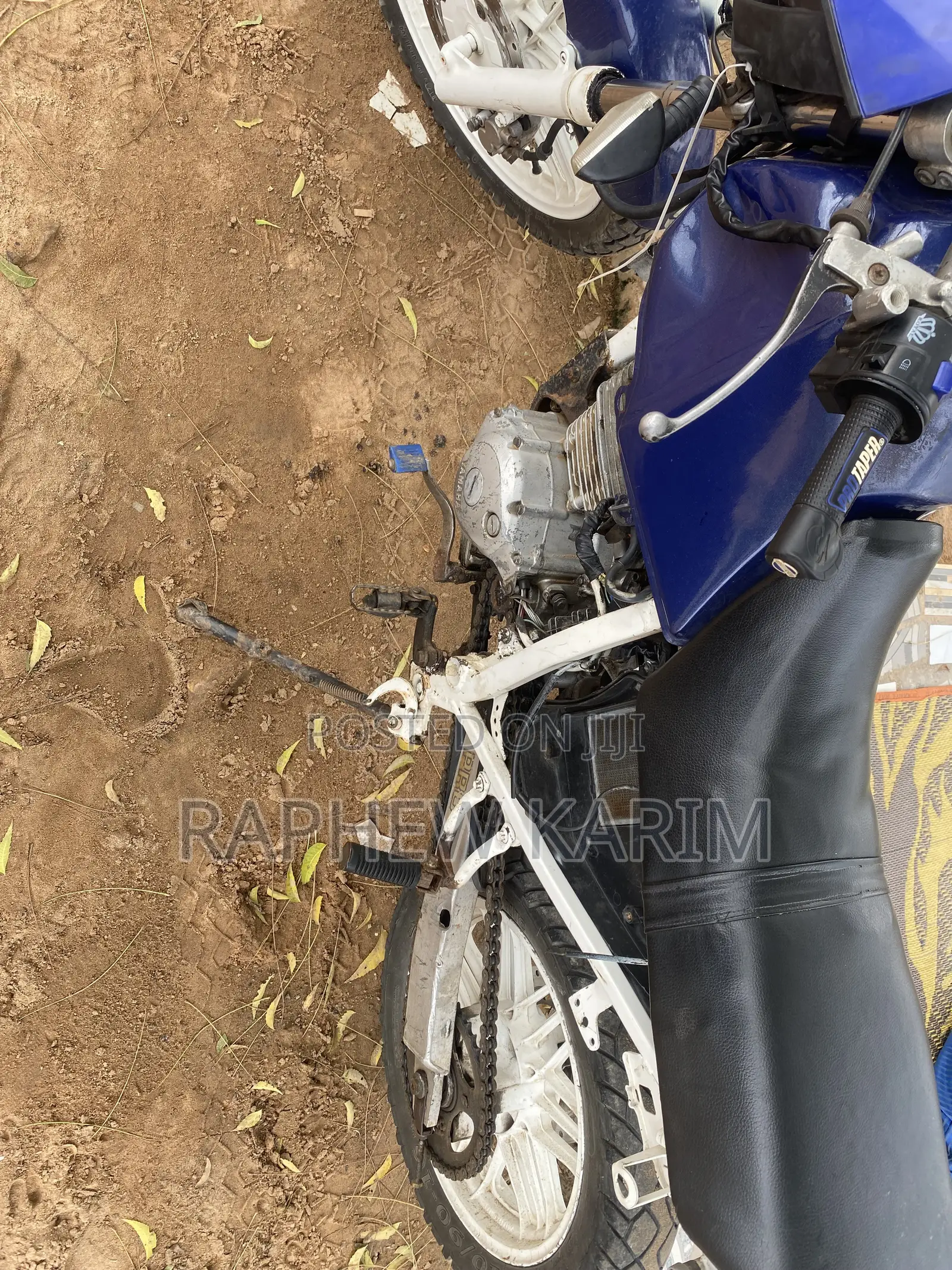 Honda 2010 Blue
