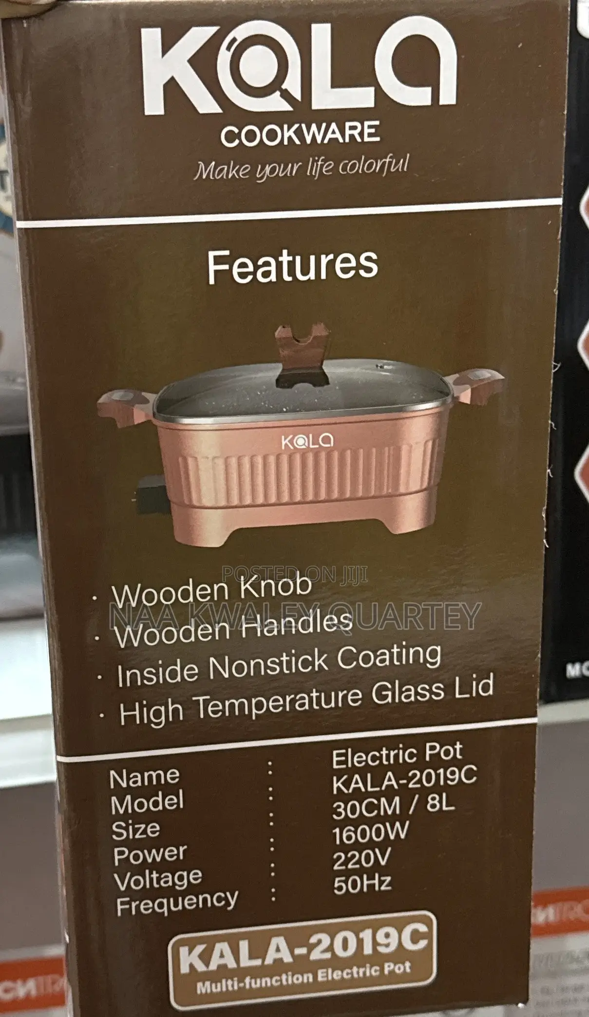 Electric Cooking Pot