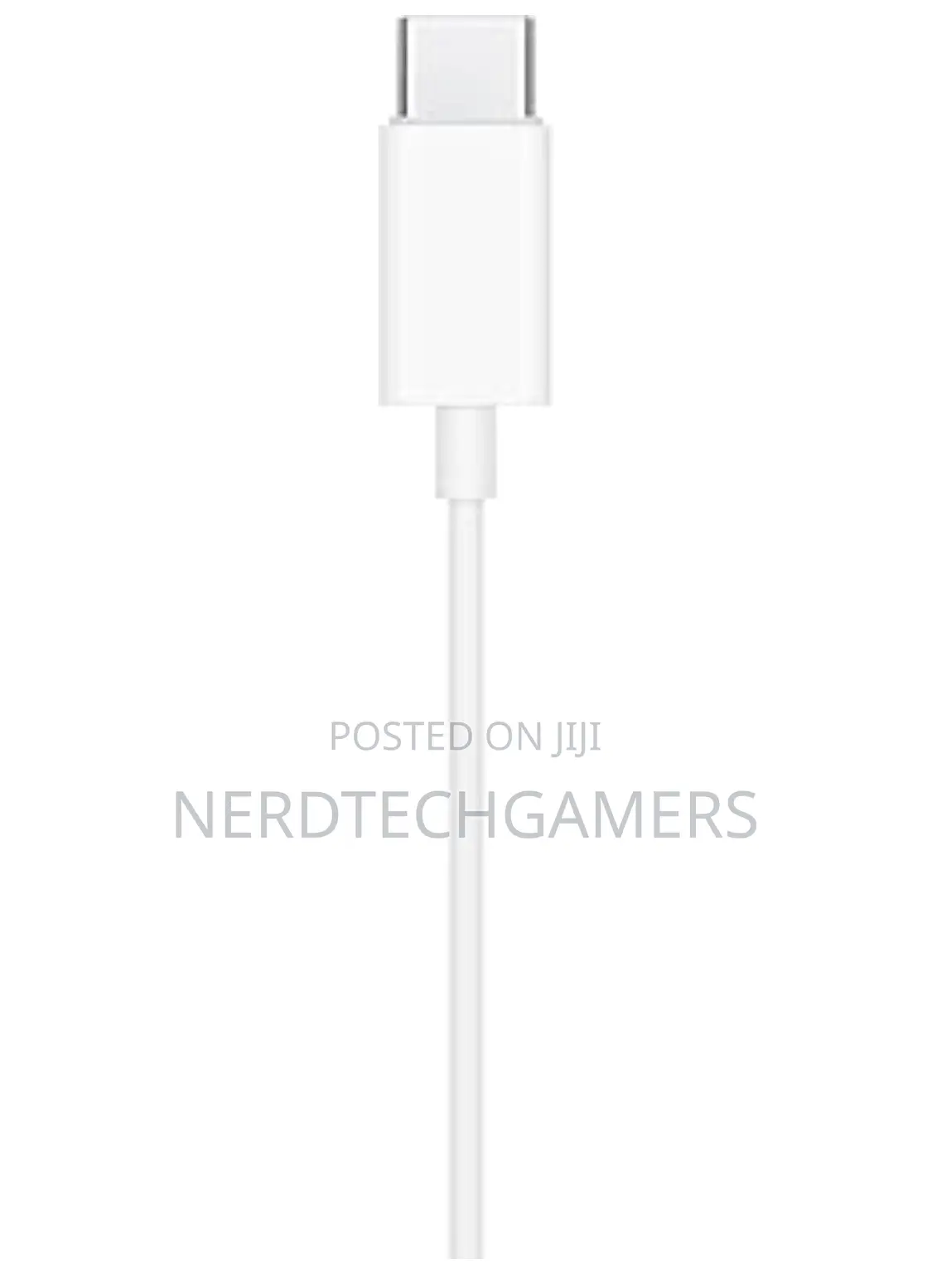 Apple Ear Pods USB-C