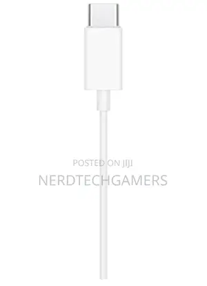 Apple Ear Pods USB-C