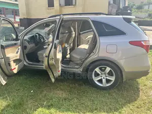 Hyundai Santa Fe 2010 Gold