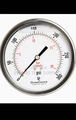 4" Oil Filled Pressure Gauge, SS Case, 1/4" NPT, Center Back Mount
