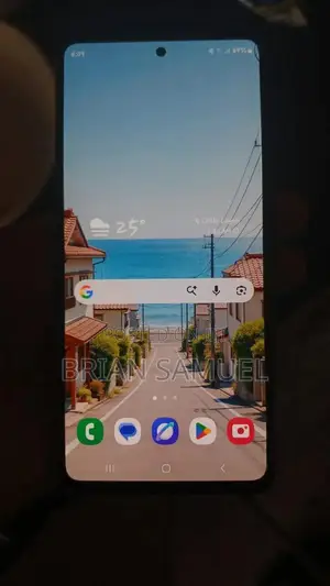 Samsung Galaxy S20 FE 5G 128 GB Gray