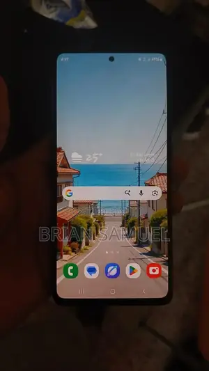 Samsung Galaxy S20 FE 5G 128 GB Gray