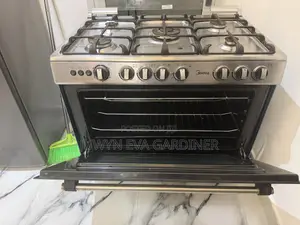 Gas Electric Stove With Oven