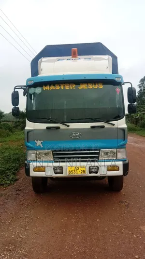 Hyundai Gold Cargo Truck for Sale