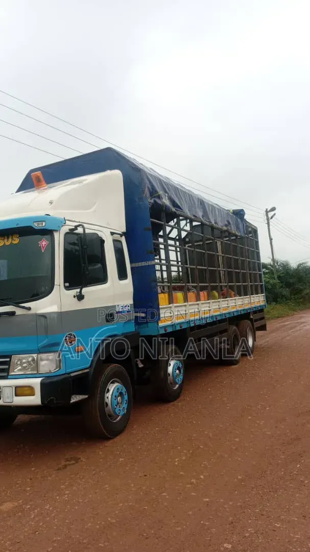 Hyundai Gold Cargo Truck for Sale