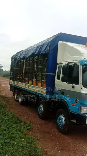Hyundai Gold Cargo Truck for Sale
