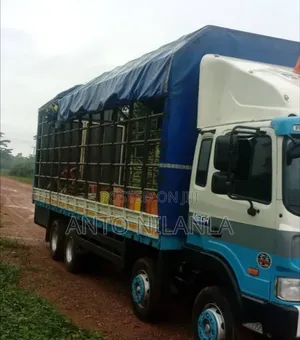 Hyundai Gold Cargo Truck for Sale