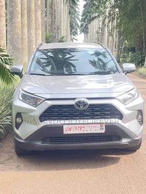 Toyota RAV4 XLE 2021 Silver