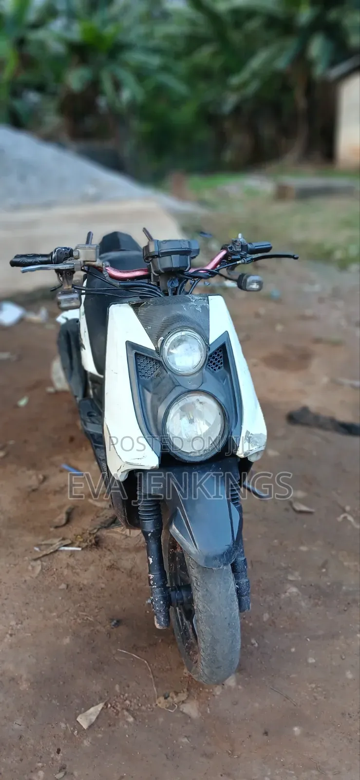 Yamaha 2019 White