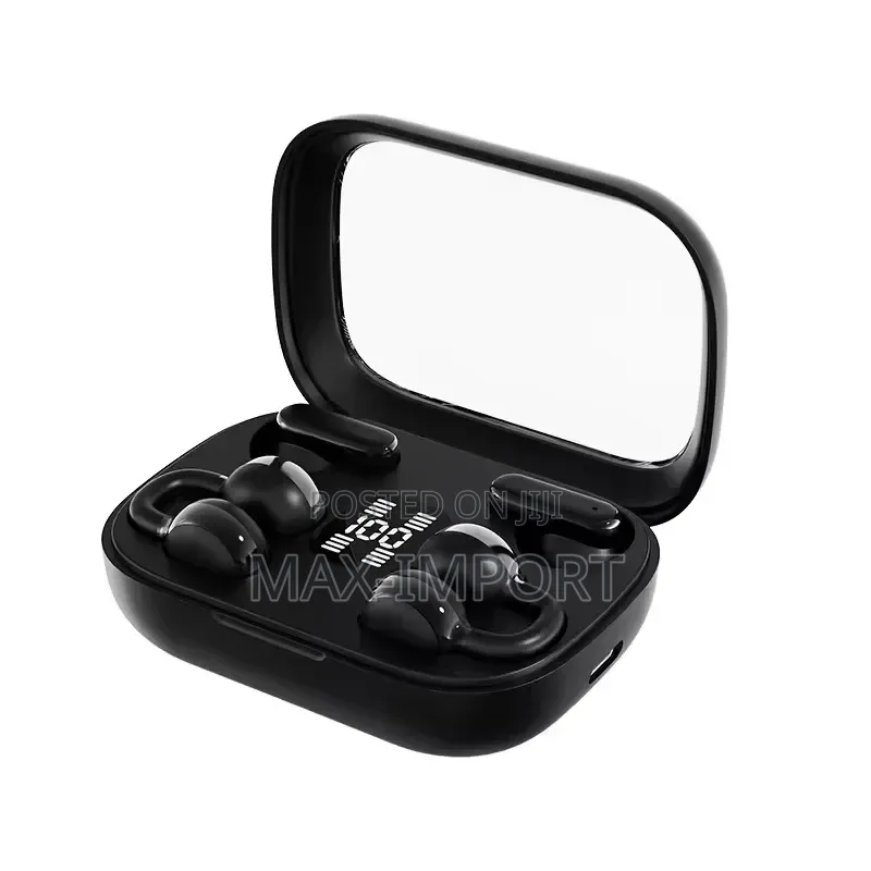 Ear Buds 2 in 1 High Definition