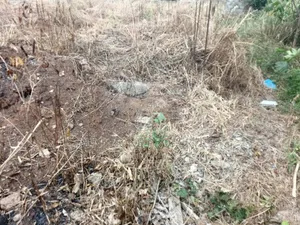 Half Plot Available for Sale