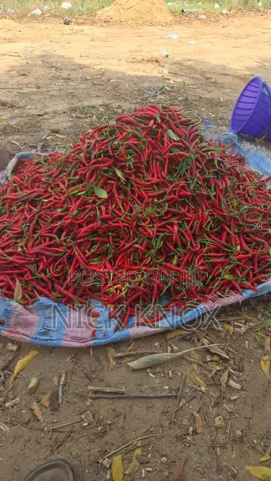 Fresh Cayenne Pepper