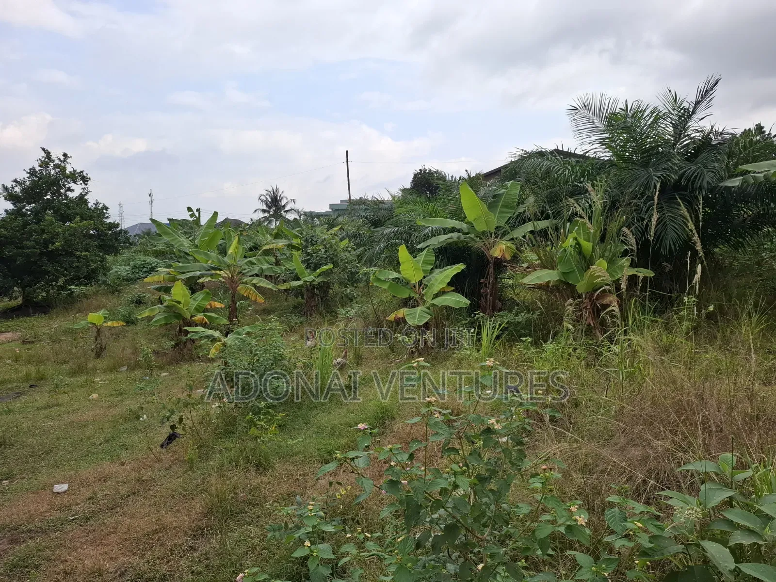 A Plot of Land for Sale in Buokrom  Estate