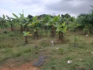 A Plot of Land for Sale in Buokrom  Estate