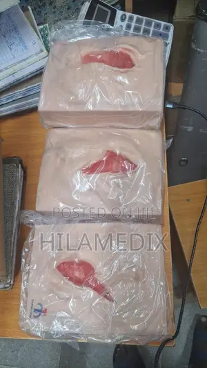 Vulva Suturing Training Stimulator