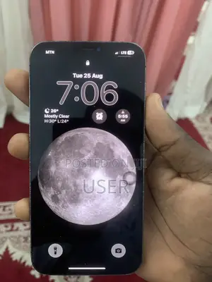 Apple iPhone 12 Pro Max 256 GB Blue