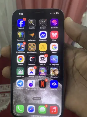 Apple iPhone 12 Pro Max 256 GB Blue