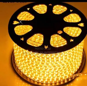 Loop Light