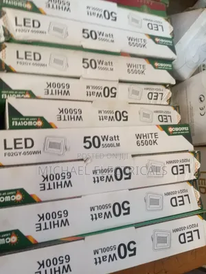 Flood Light